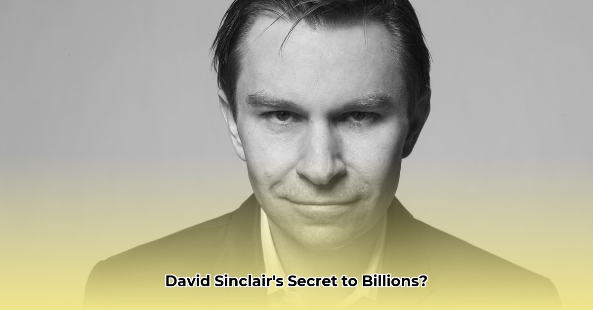 david-sinclair-net-worth